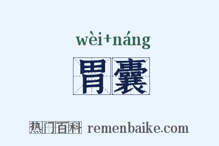 胃囊是什么意思的图片